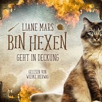 Produktbild: Bin Hexen 2: Geht in Deckung