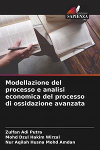 Produktbild: Modellazione del processo e analisi economica del processo di ossidazione avanzata
