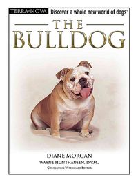 Produktbild: Bulldog