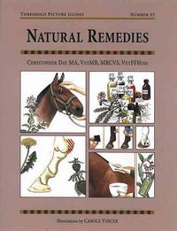 Produktbild: Day, C: Natural Remedies for Common Ailments