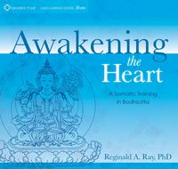 Produktbild: Awakening the Heart