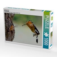 Produktbild: CALVENDO Puzzle Ein Motiv aus dem Kalender Wiedehopf | 1000 Teile Lege-Gr&ouml;&szlig;e 64x48cm Foto-Puzzle f&uuml;r gl&uuml;ckliche Stunden