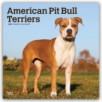 Produktbild: American Pit Bull Terriers 2027 &ndash; 16-Monatskalender