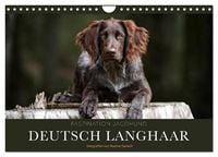 Produktbild: Faszination Jagdhund - Deutsch Langhaar (Wandkalender 2027 DIN A4 quer), CALVENDO Monatskalender