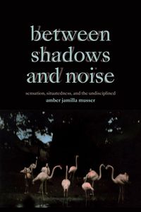 Produktbild: Between Shadows and Noise