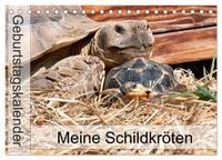 Produktbild: Meine Schildkr&ouml;ten - Geburtstagskalender (Tischkalender 2026 DIN A5 quer), CALVENDO Monatskalender