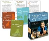 Bild vom Artikel Cd-Cesars Way Deck-50pk vom Autor Cesar Millan