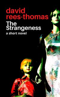Produktbild: The Strangeness