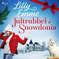 Produktbild: Jultrubbel i Snowdonia