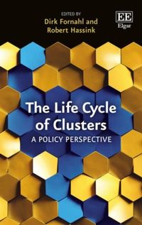 Produktbild: The Life Cycle of Clusters