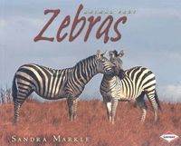 Produktbild: Markle, S: Zebras