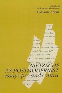 Produktbild: Nietzsche as Postmodernist