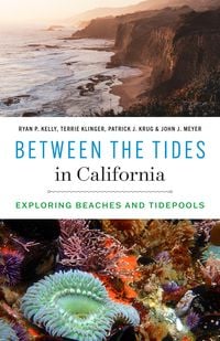 Produktbild: Between the Tides in California