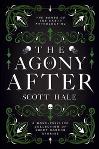 Produktbild: The Agony of After
