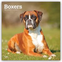 Produktbild: Boxers &ndash; Boxer 2027 &ndash; 16-Monatskalender