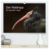 Produktbild: Der Waldrapp - Ein skurriler Vogel (hochwertiger Premium Wandkalender 2026 DIN A2 quer), Kunstdruck in Hochglanz