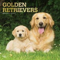Produktbild: Golden Retrievers 2023 Square