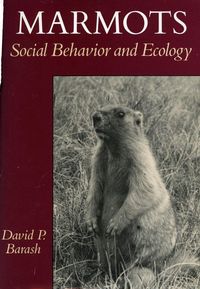 Produktbild: Marmots