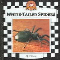 Produktbild: Spiders Set 2: Checkerboard Animal Library Anniversary Edition