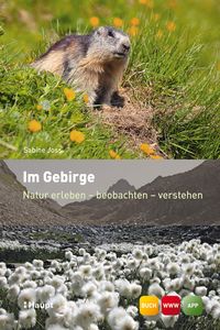 Produktbild: Im Gebirge