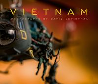 Produktbild: David Levinthal