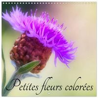 Produktbild: Petites fleurs color&eacute;es (Calendrier mural carr&eacute; 2027 30x30 cm) Calendrier double avec une page pour vos prises de notes