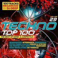 Techno Top 100 Vol.29-The Best Of Hard-And Jumpst von Various