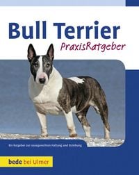 Produktbild: Bull Terrier