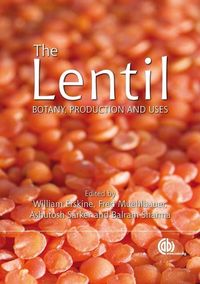 Produktbild: Lentil
