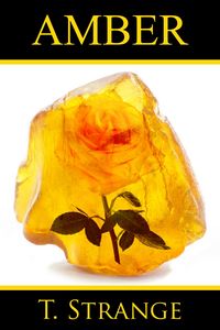 Produktbild: Amber