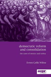 Produktbild: Democratic Reform and Consolidation