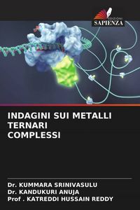Produktbild: Indagini Sui Metalli Ternari Complessi