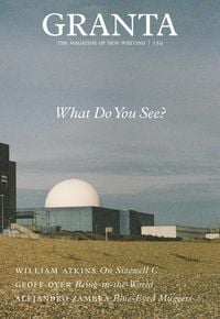 Produktbild: Granta 159: What Do You See?