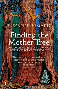 Produktbild: Finding the Mother Tree