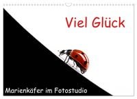 Produktbild: Viel Gl&uuml;ck - Marienk&auml;fer im Fotostudio (Wandkalender 2027 DIN A3 quer), CALVENDO Monatskalender