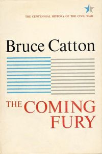 Produktbild: Coming Fury, Volume 1