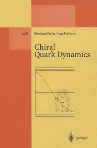 Produktbild: Chiral Quark Dynamics