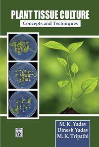 Produktbild: Plant Tissue Culture Concepts And Techniques