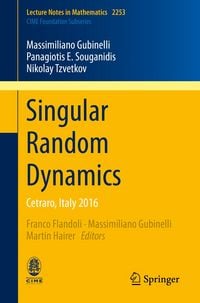 Produktbild: Singular Random Dynamics