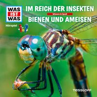 Bild vom Artikel WAS IST WAS Hörspiel. Im Reich der Insekten / Bienen und Ameisen vom Autor Kurt Haderer