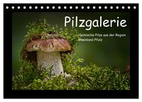 Produktbild: Pilzgalerie - Heimische Pilze aus der Region Rheinland-Pfalz (Tischkalender 2026 DIN A5 quer), CALVENDO Monatskalender