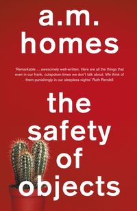 Bild vom Artikel The Safety Of Objects vom Autor A.M. Homes
