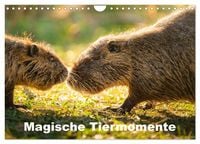Produktbild: Magische Tiermomente (Wandkalender 2027 DIN A4 quer), CALVENDO Monatskalender