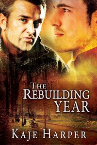 Produktbild: The Rebuilding Year