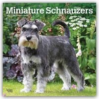 Produktbild: Miniature Schnauzers &ndash; Zwergschnauzer 2027 &ndash; 16-Monatskalender
