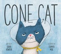 Produktbild: Cone Cat