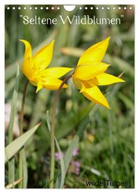 Produktbild: Seltene Wildblumen (Wandkalender 2026 DIN A4 hoch), CALVENDO Monatskalender
