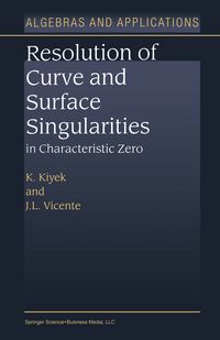Produktbild: Resolution of Curve and Surface Singularities in Characteristic Zero
