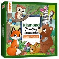 Produktbild: Diamond Painting Bilderrahmen