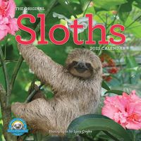 Produktbild: Cooke, L: Original Sloths Wall Calendar 2025